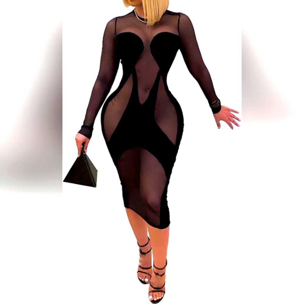 Sheer mesh bodycon dress in black